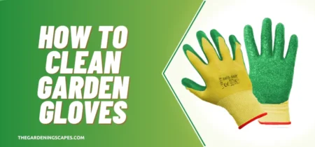 How To Clean Garden Gloves?
